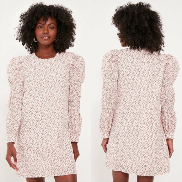 Tuckernuck Dresses & Skirts - Tuckernuck Hyacinth House Textured Floral Puff Sleeve Clemons Mini Dress NWT